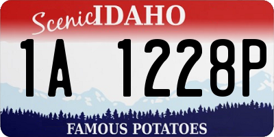 ID license plate 1A1228P