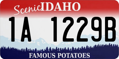 ID license plate 1A1229B