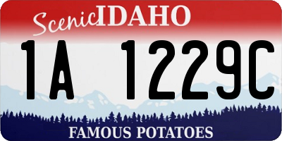 ID license plate 1A1229C
