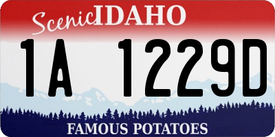 ID license plate 1A1229D