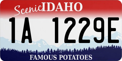 ID license plate 1A1229E