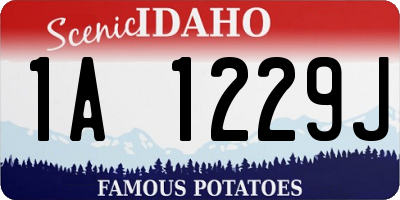 ID license plate 1A1229J