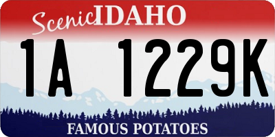 ID license plate 1A1229K