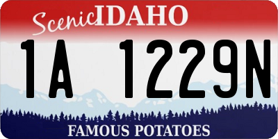 ID license plate 1A1229N