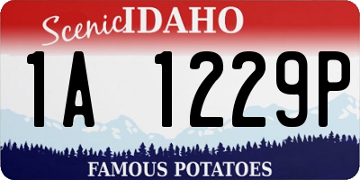 ID license plate 1A1229P