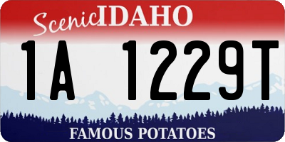 ID license plate 1A1229T