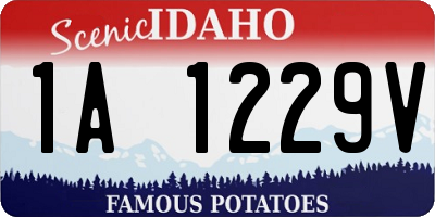 ID license plate 1A1229V