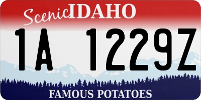 ID license plate 1A1229Z