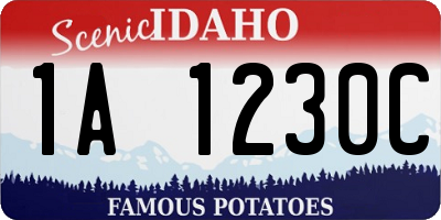 ID license plate 1A1230C