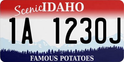 ID license plate 1A1230J