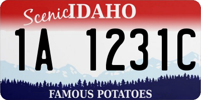 ID license plate 1A1231C