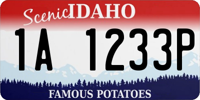 ID license plate 1A1233P