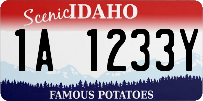 ID license plate 1A1233Y