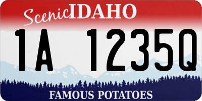 ID license plate 1A1235Q