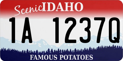 ID license plate 1A1237Q