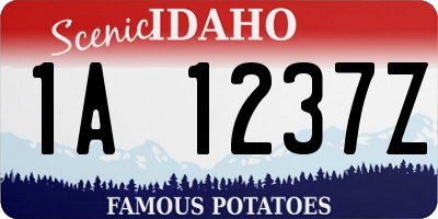 ID license plate 1A1237Z