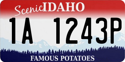 ID license plate 1A1243P