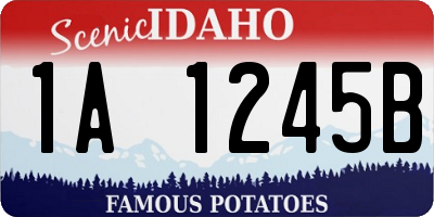 ID license plate 1A1245B