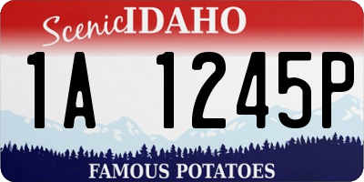 ID license plate 1A1245P