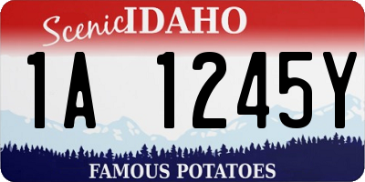 ID license plate 1A1245Y