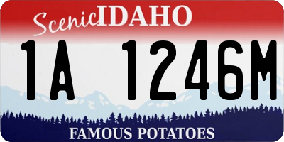 ID license plate 1A1246M