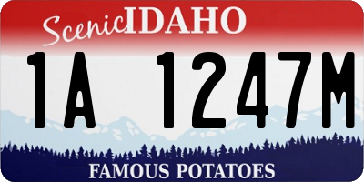 ID license plate 1A1247M