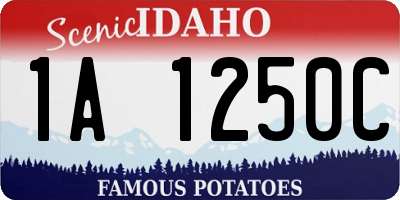 ID license plate 1A1250C