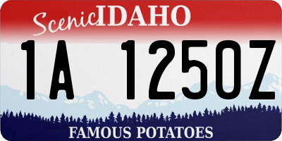 ID license plate 1A1250Z