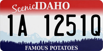 ID license plate 1A1251Q
