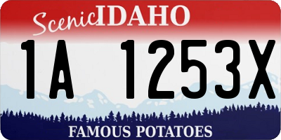 ID license plate 1A1253X