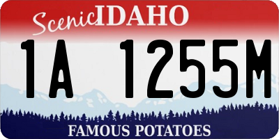 ID license plate 1A1255M