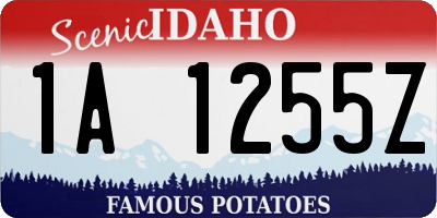 ID license plate 1A1255Z