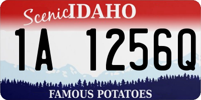 ID license plate 1A1256Q