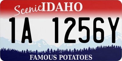 ID license plate 1A1256Y