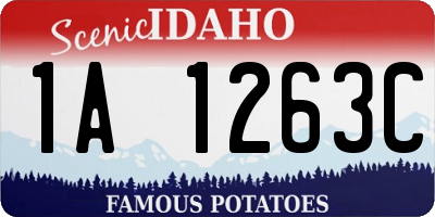 ID license plate 1A1263C