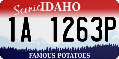 ID license plate 1A1263P