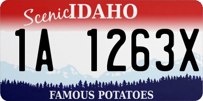 ID license plate 1A1263X