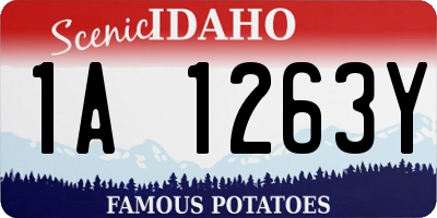 ID license plate 1A1263Y