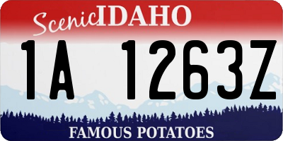 ID license plate 1A1263Z