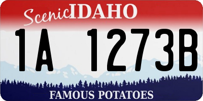 ID license plate 1A1273B