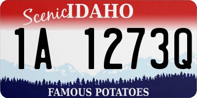 ID license plate 1A1273Q