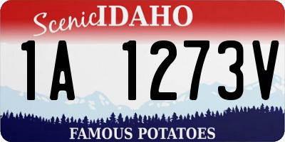 ID license plate 1A1273V