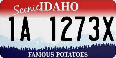 ID license plate 1A1273X