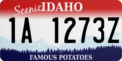 ID license plate 1A1273Z