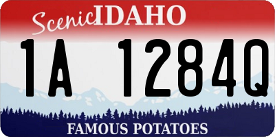 ID license plate 1A1284Q