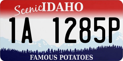 ID license plate 1A1285P