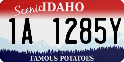 ID license plate 1A1285Y