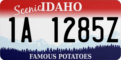 ID license plate 1A1285Z