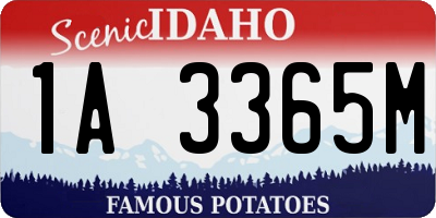 ID license plate 1A3365M