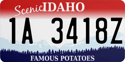 ID license plate 1A3418Z